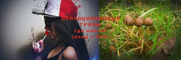 ALPHA PVP Остров
