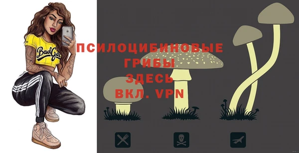 таблы Осташков