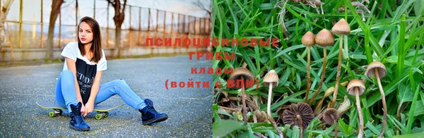крисы Няндома