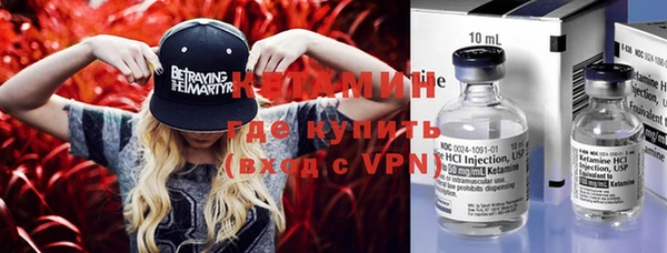 крисы Няндома