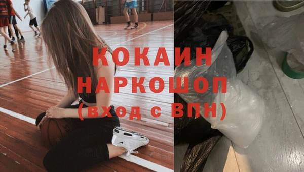 ALPHA PVP Остров