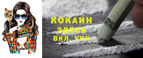 крисы Няндома