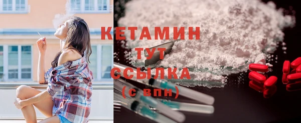 крисы Няндома